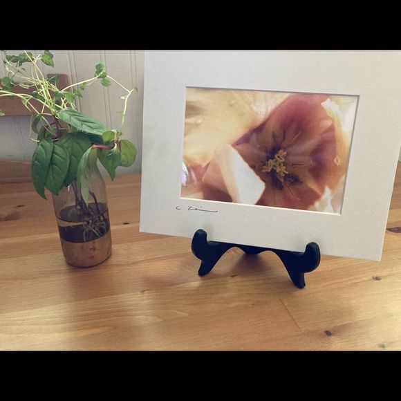 Artisan Other - New Original Signed Photography